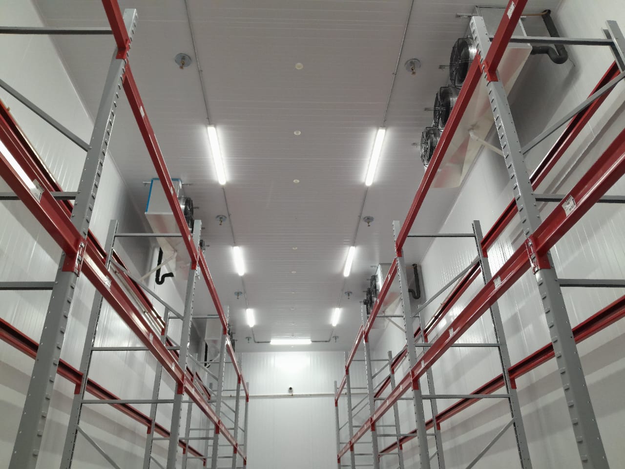 Imagen de cámara frigorífica